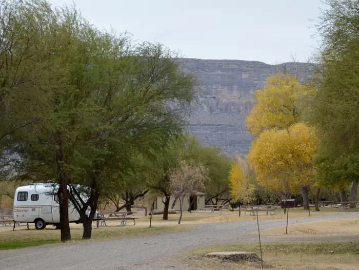 Cottonwood (Big Bend, Tx) — photo 1