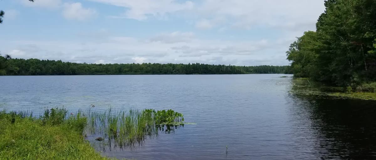 Black Lake — photo 1