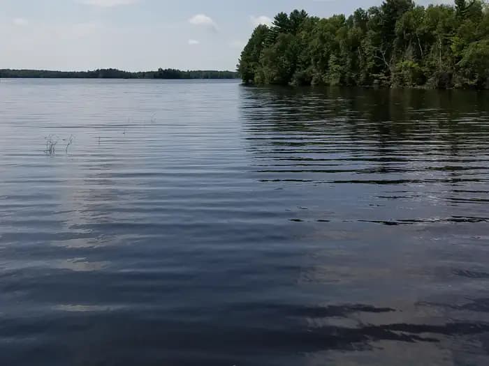 Moose Lake — photo 1