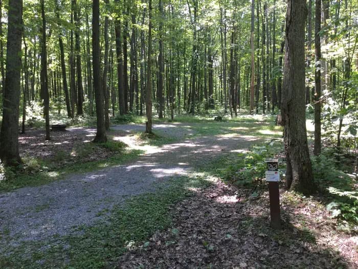 Tracy Ridge — photo 1