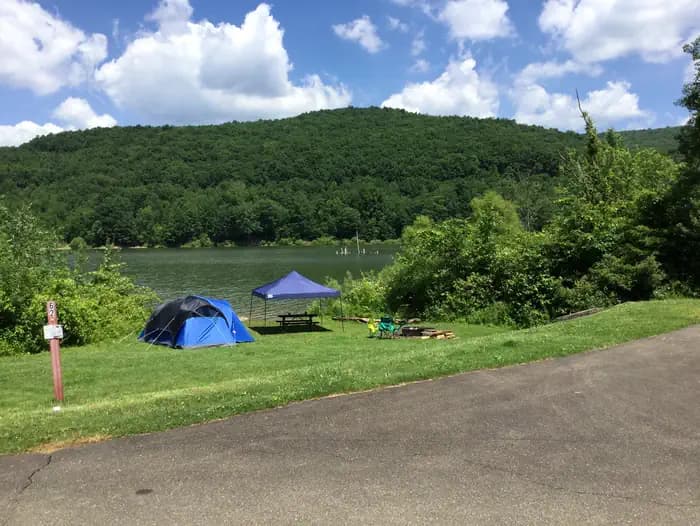 Willow Bay — photo 1