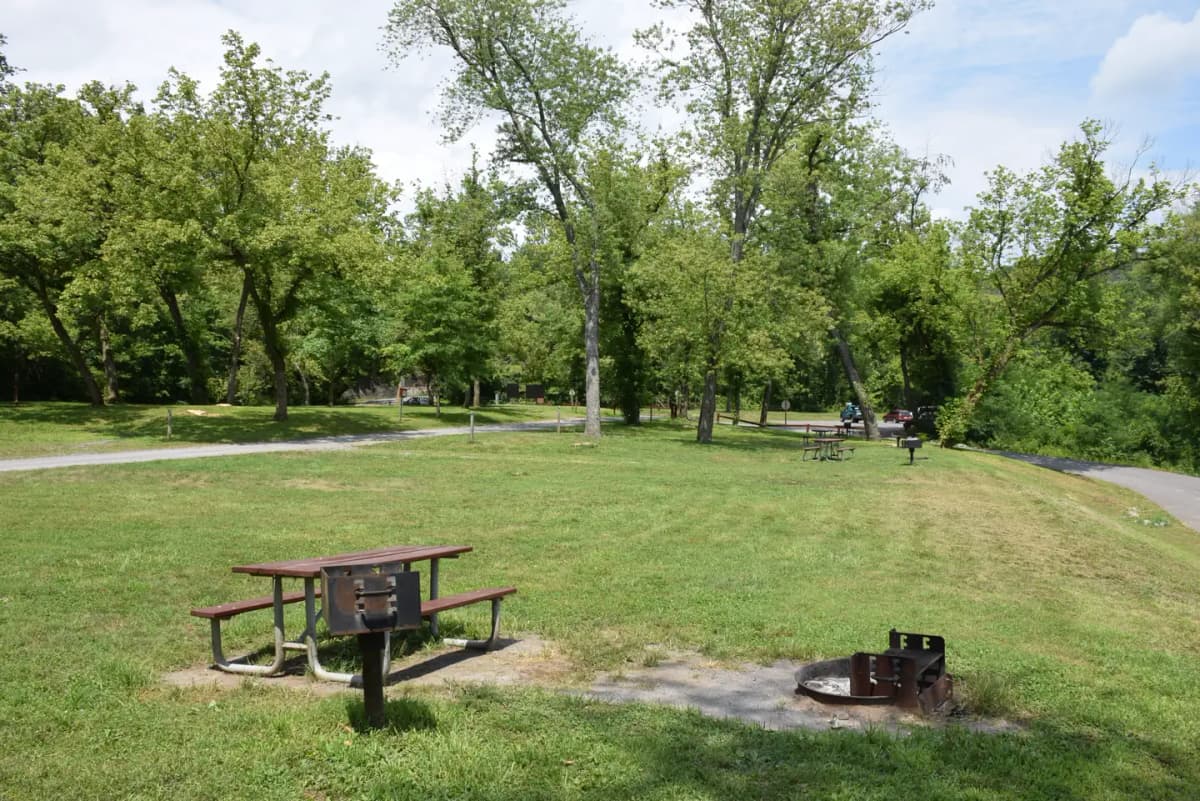 Fifteen Mile Creek Campsite — photo 1