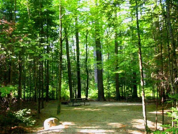 Campton Campground — photo 1