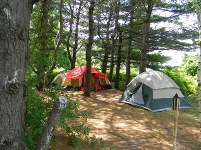 Camp Gateway- Brooklyn Ny — photo 1