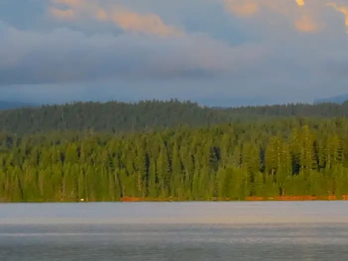 Oak Fork Campground (Timothy Lake, Or) — photo 1