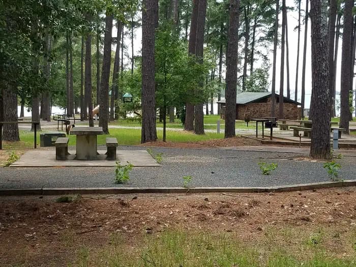 Piney Point — photo 1