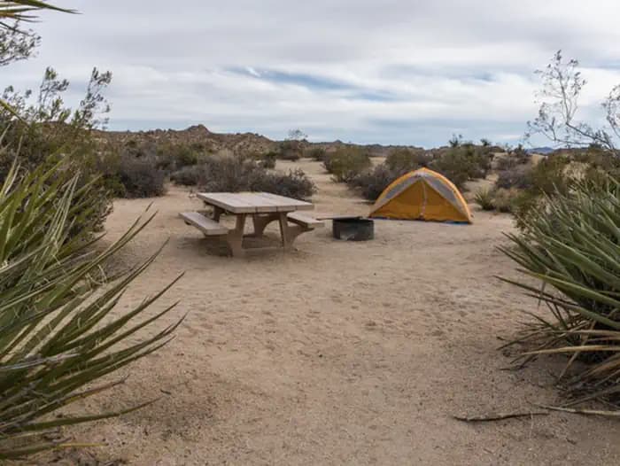 Cottonwood Campground (Ca) — photo 1
