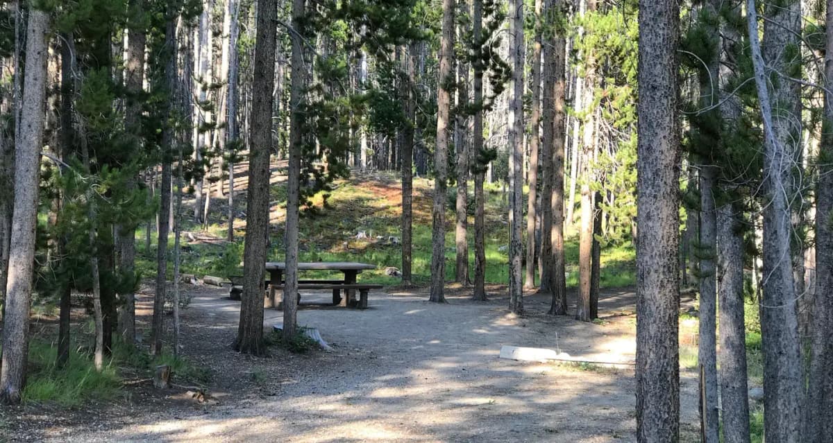 Spring Hill Campground — photo 1
