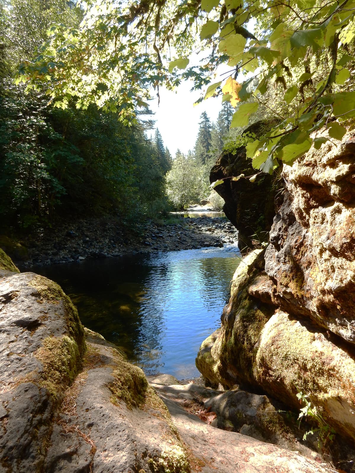 Sharps Creek Recreation Site — photo 1
