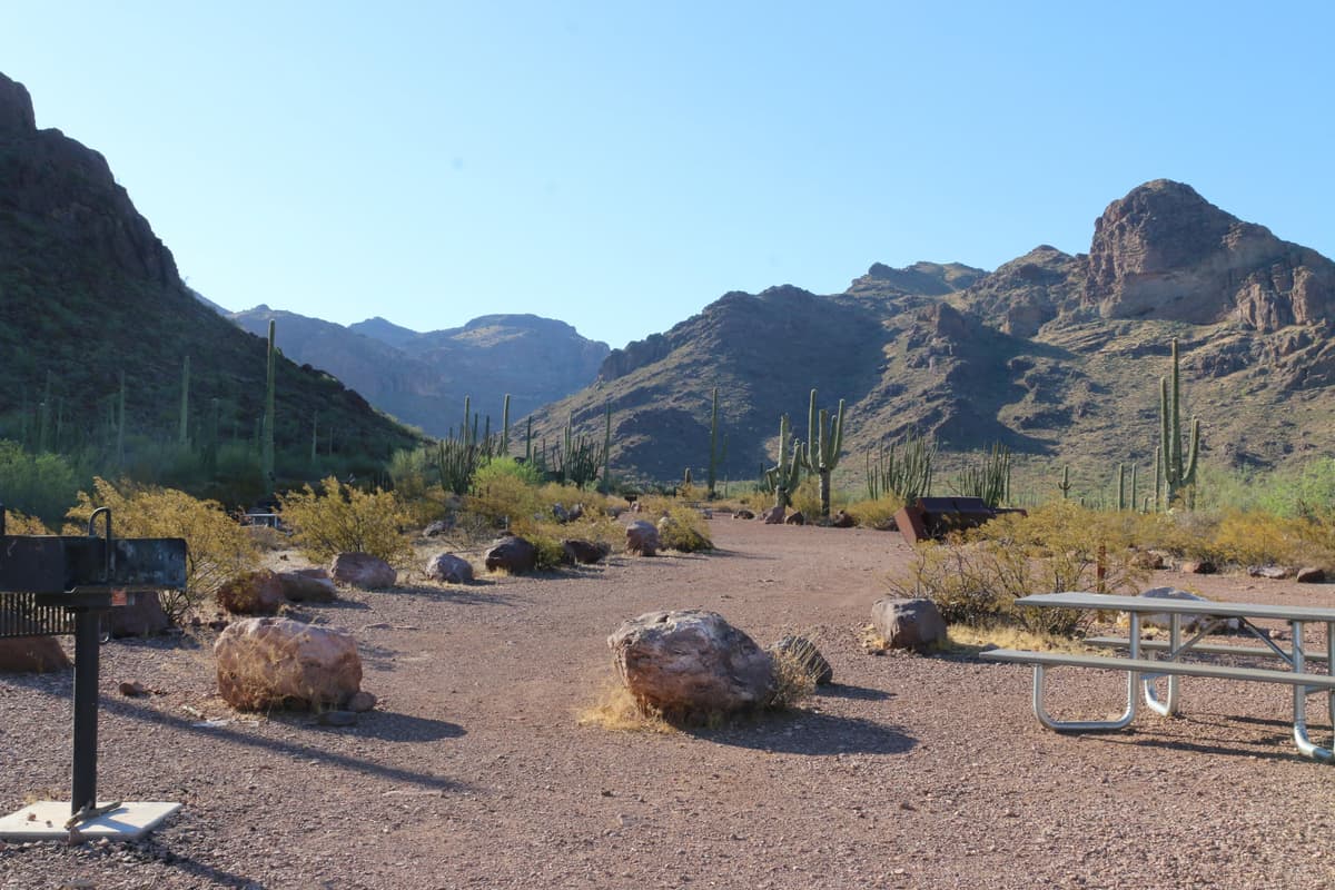 Alamo Canyon Primitive Campground — photo 1