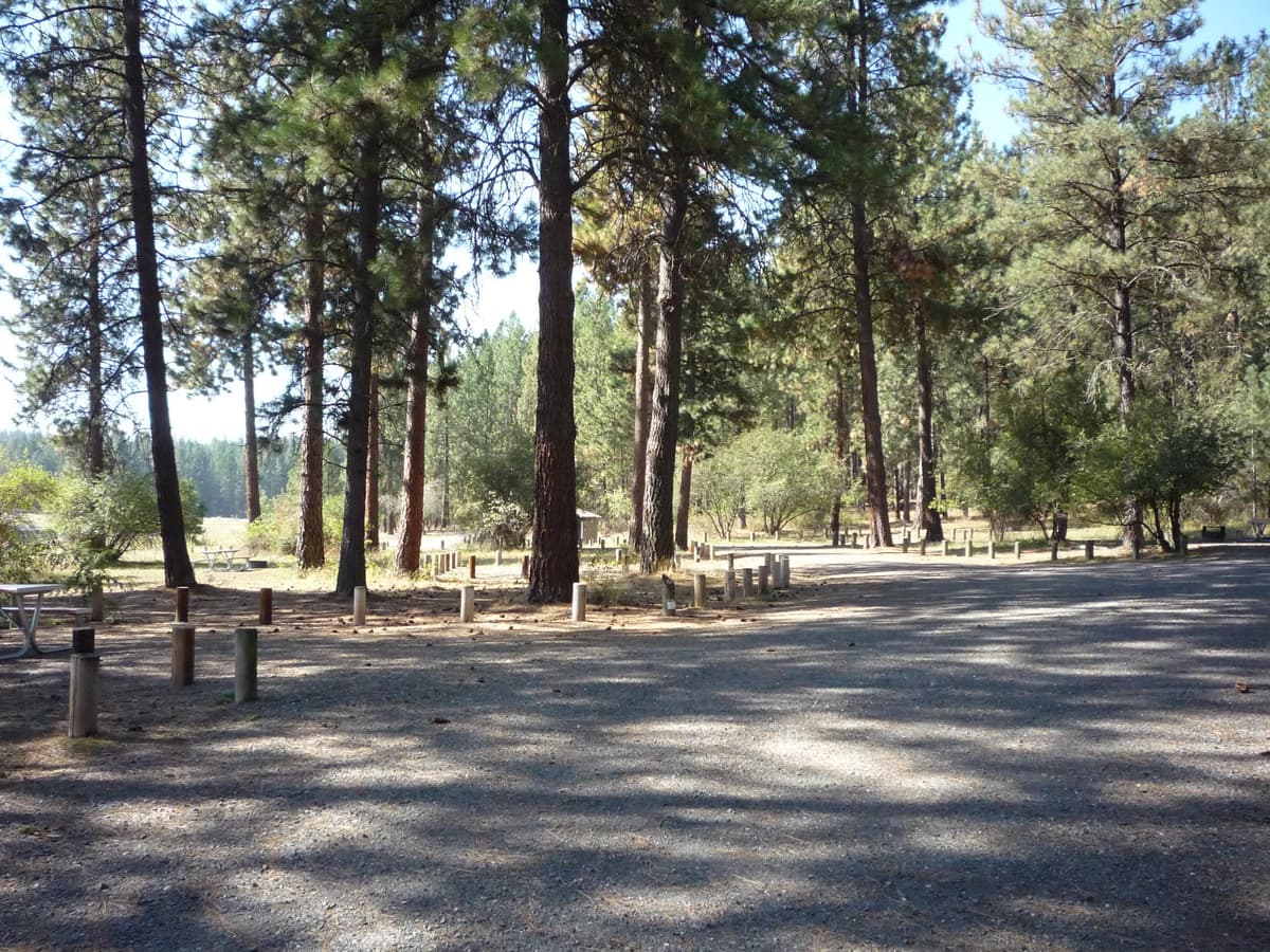 Haag Cove Campground — photo 1