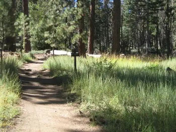 Deer Group Camp — photo 1