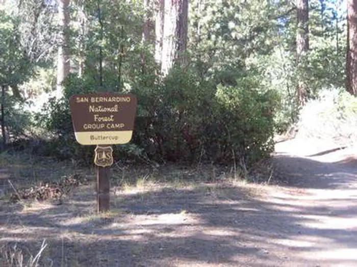 Buttercup Group Camp — photo 1