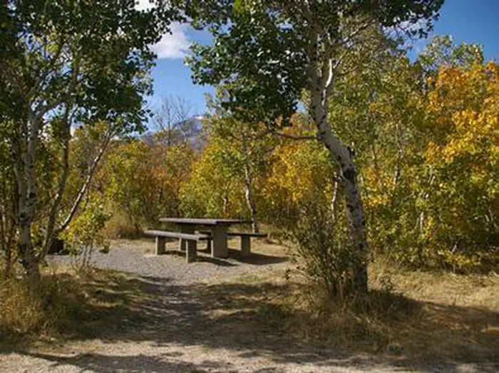 Angel Creek (Humboldt-Toiyabe National Forest, Nv) — photo 1