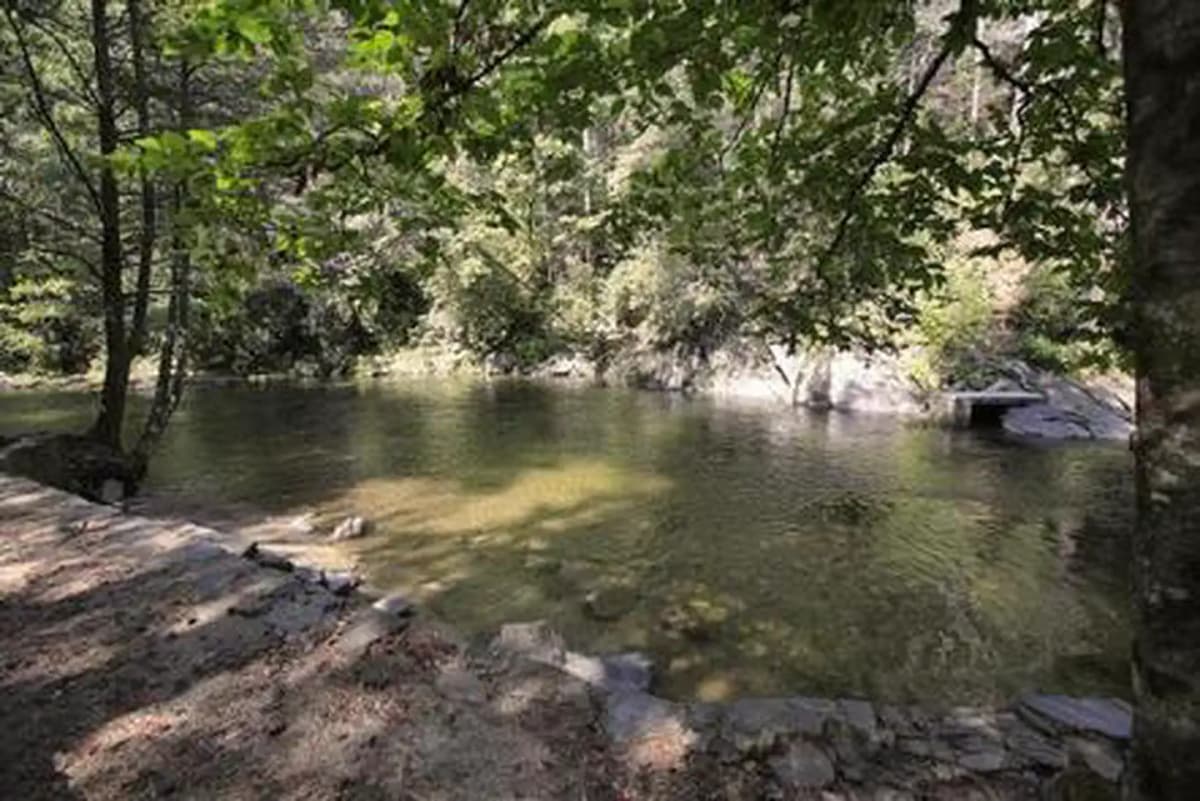 Davidson River — photo 1