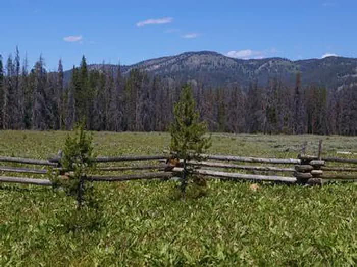 Elk Creek Campground (Sawtooth Nf) — photo 1
