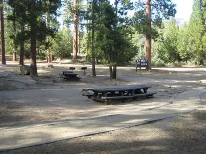 Council — photo 1