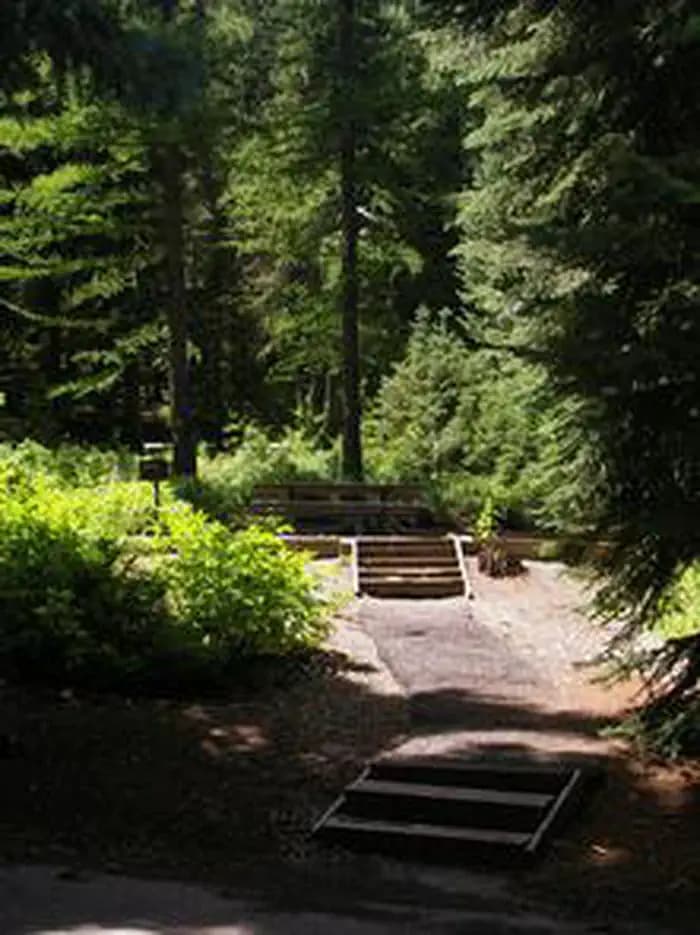 Spruces - Big Cottonwood — photo 1
