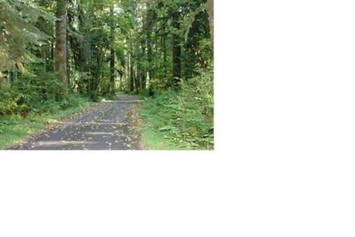 Turlo Campground — photo 1