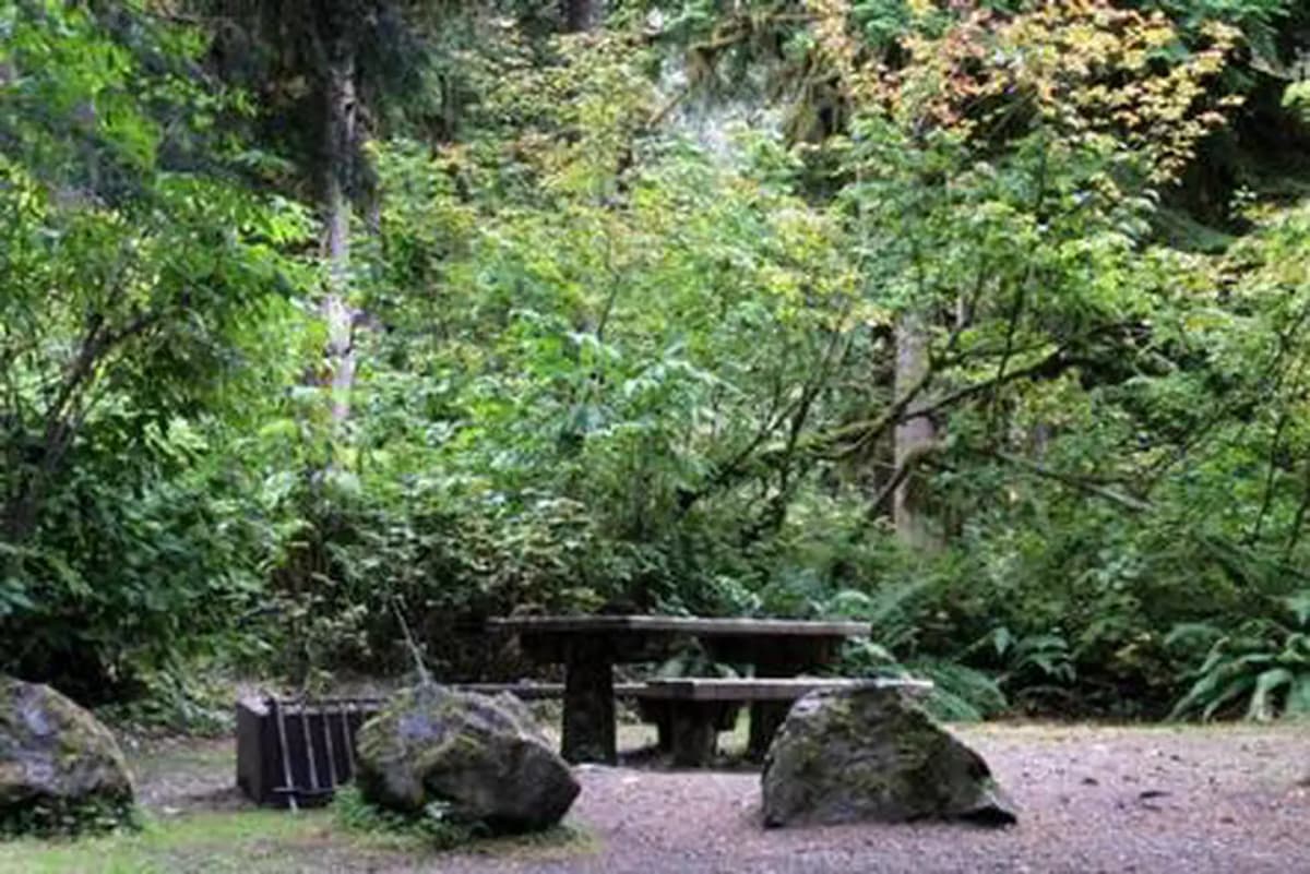 Shannon Creek Campground — photo 1