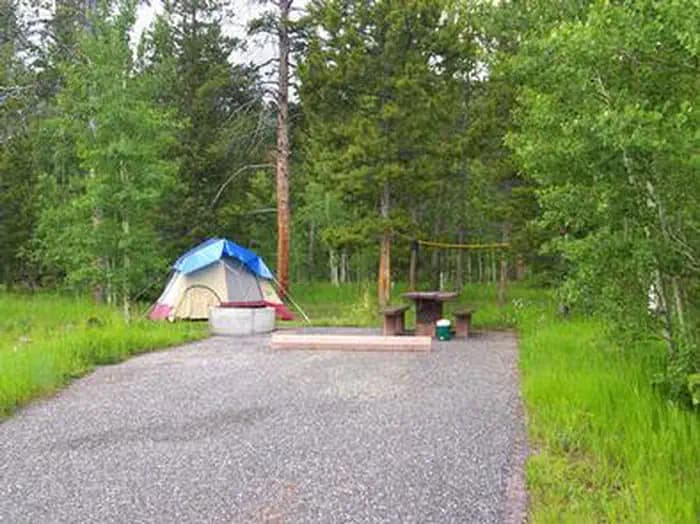 Lodgepole At Flaming Gorge — photo 1