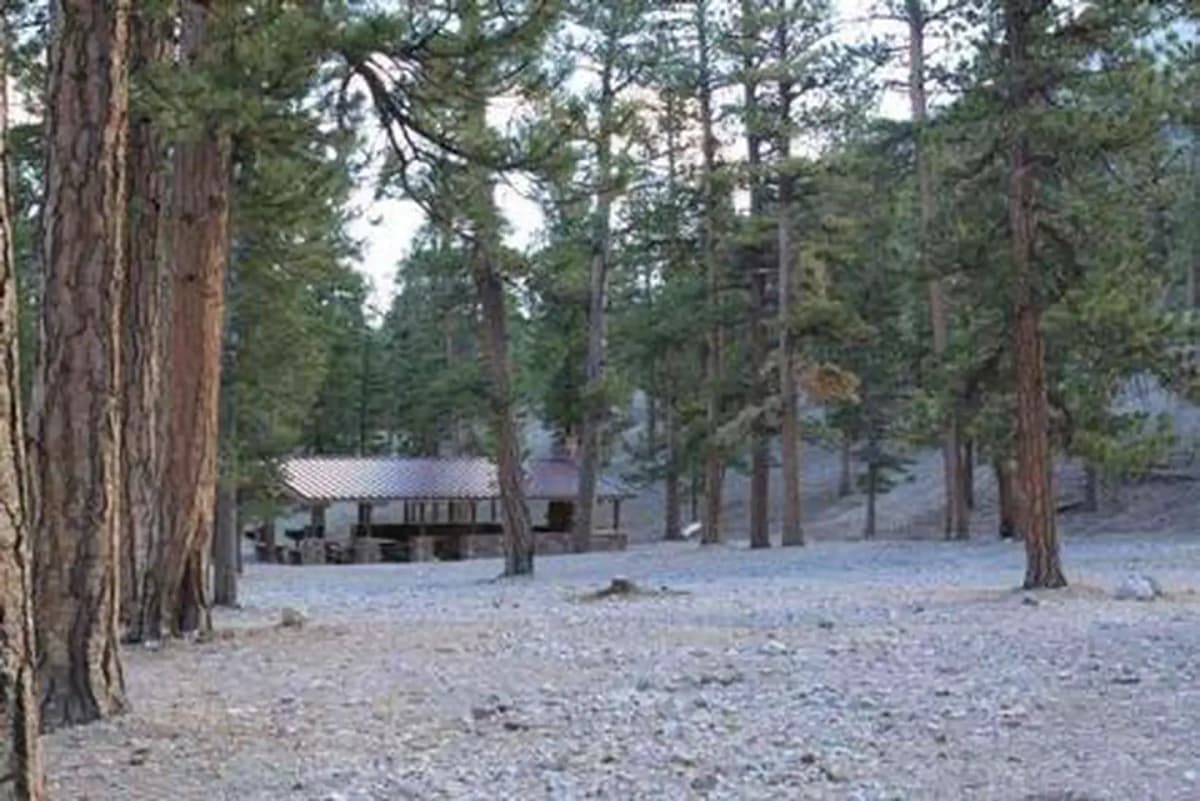 Foxtail Grp Picnic Area — photo 1