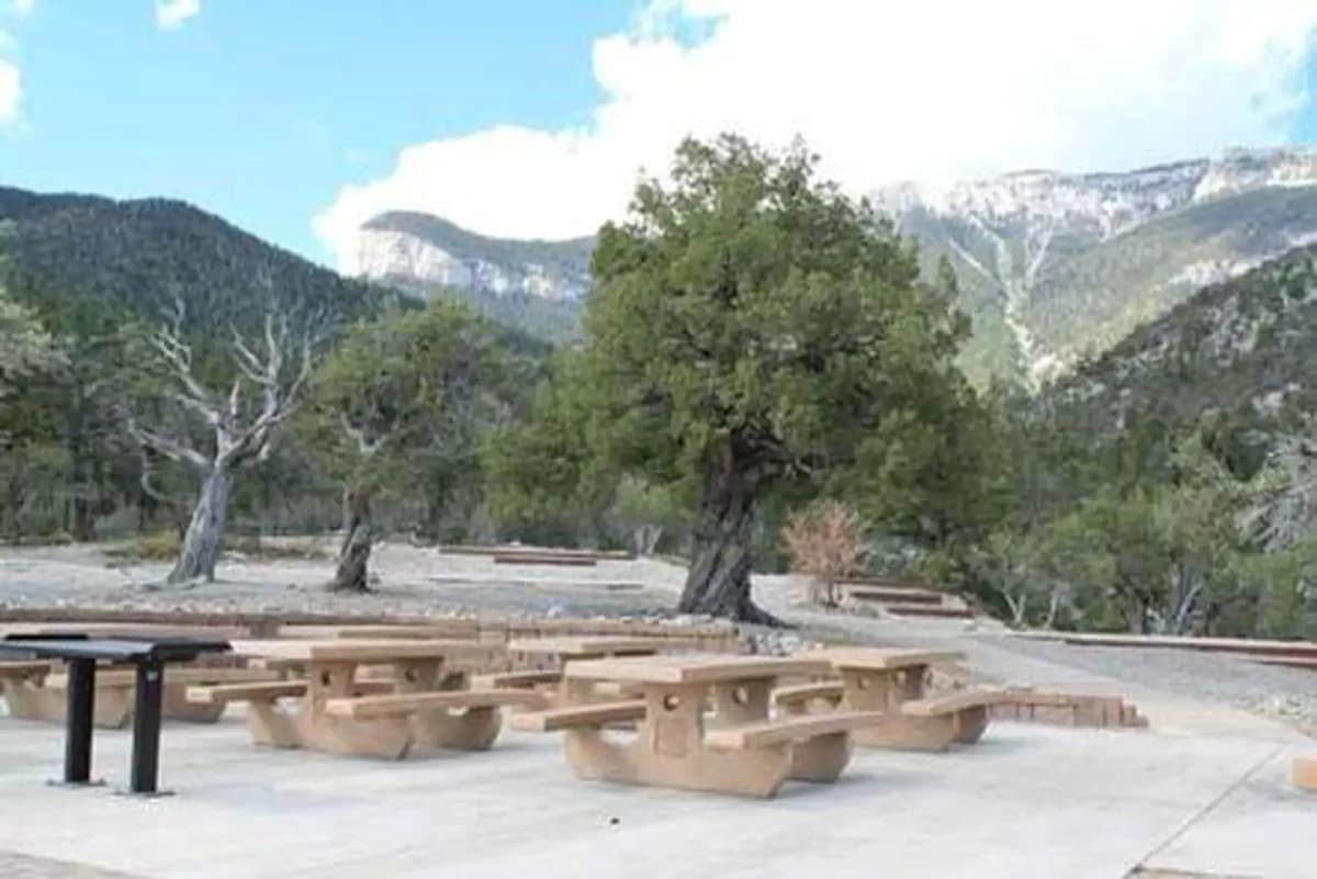 Mahogany Grove — photo 1