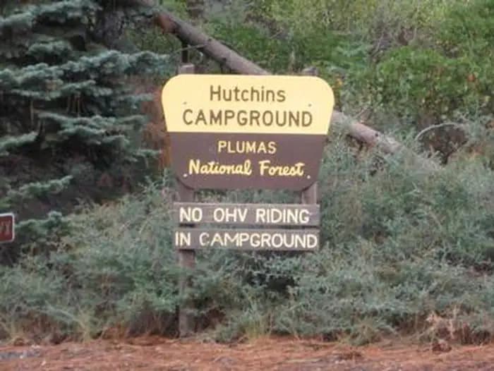 Hutchins — photo 1
