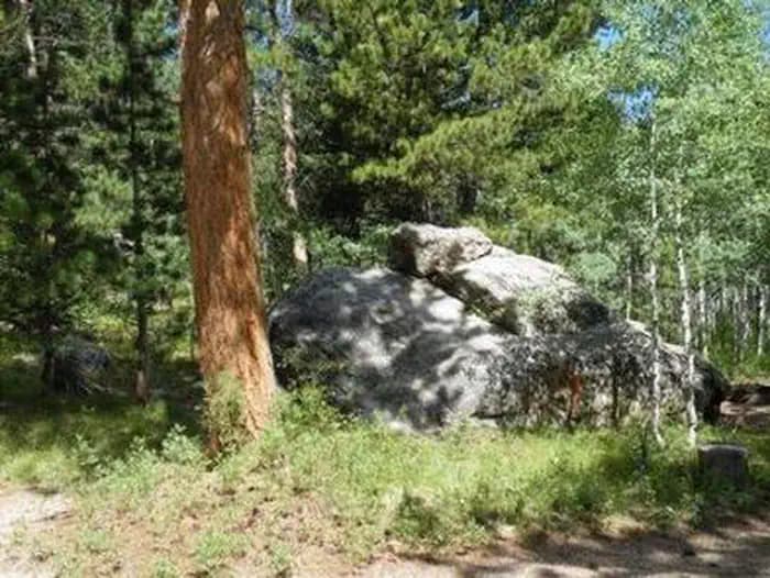 Olive Ridge — photo 1