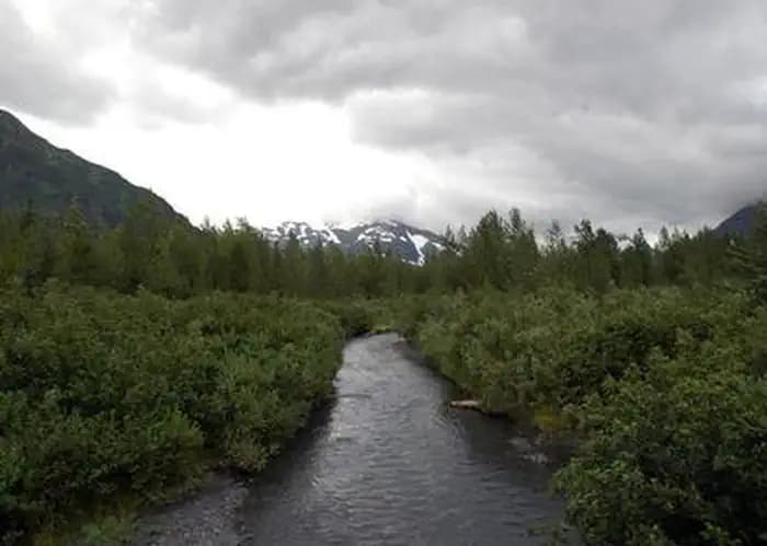 Williwaw Campground — photo 1