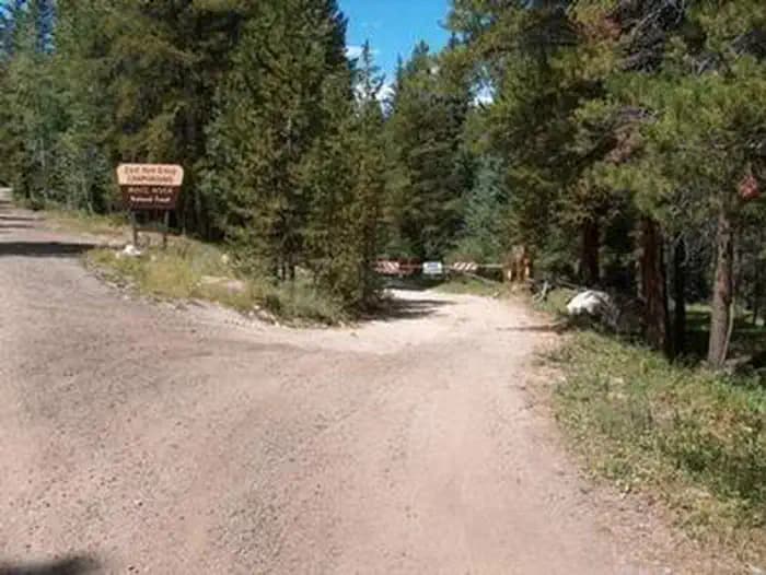 Camp Hale East Fork Group — photo 1