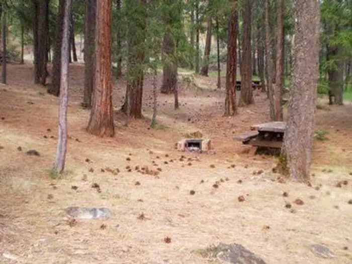 Stoney Group Shasta-Trinity — photo 1