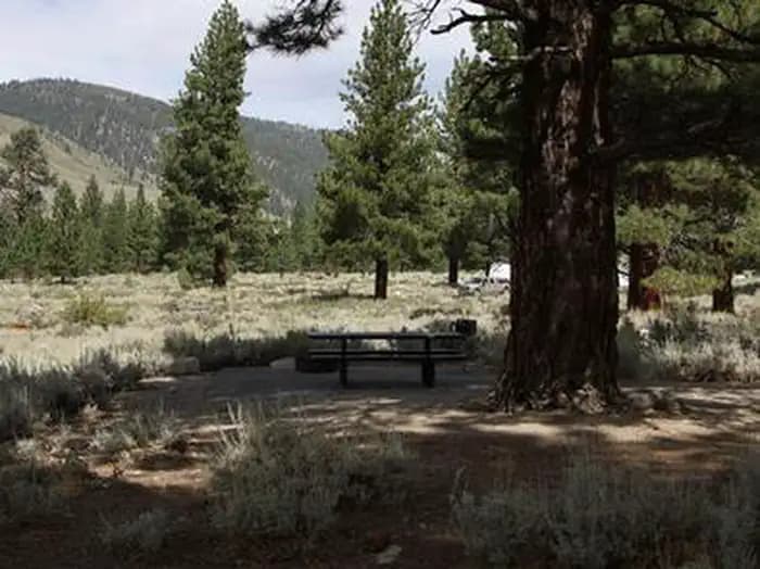 Crags Campground — photo 1