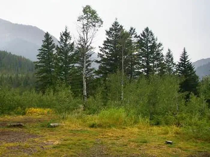 Little Cottonwood Group — photo 1