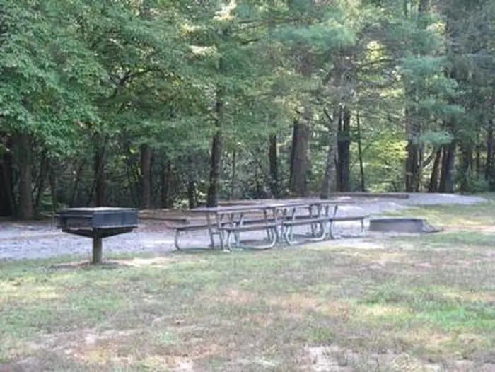 Cataloochee Group Camp — photo 1