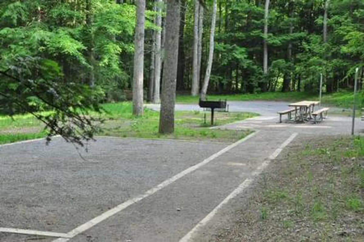 Elkmont Group Camp — photo 1
