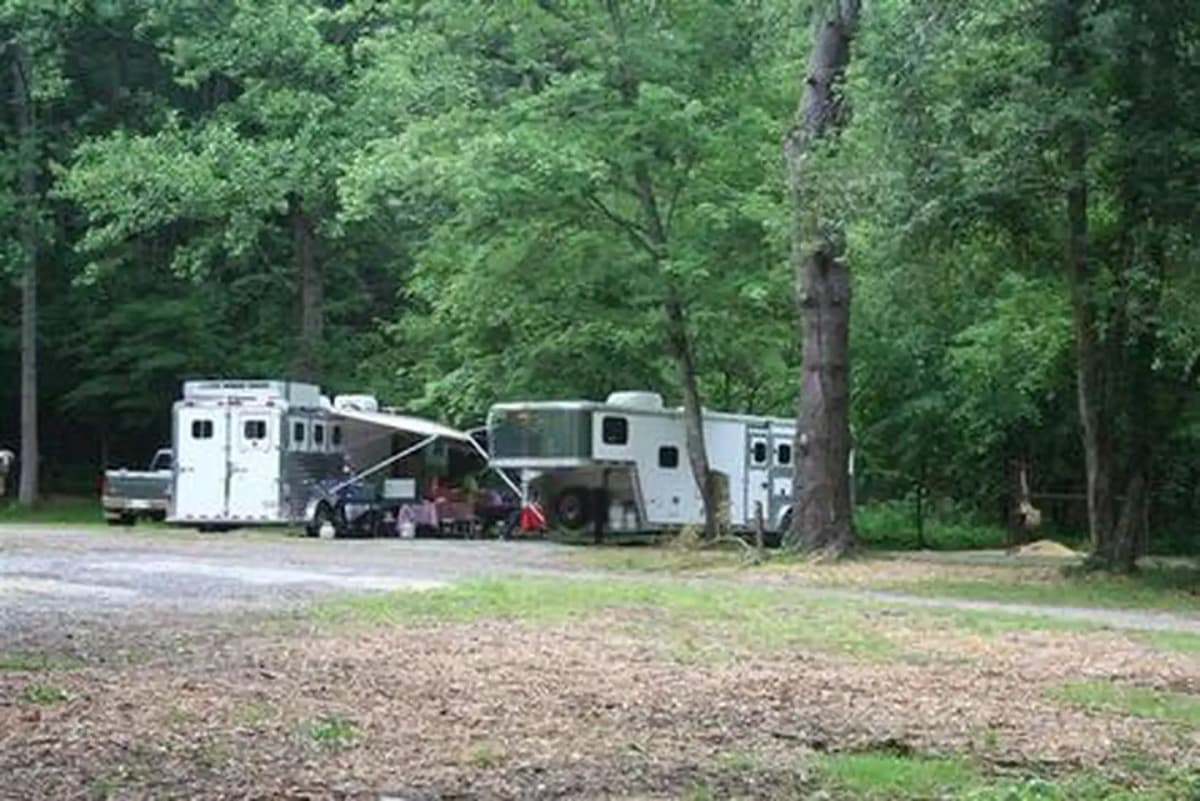 Cataloochee Horse Camp — photo 1