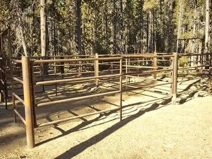 Whitefish Horse Camp — photo 1