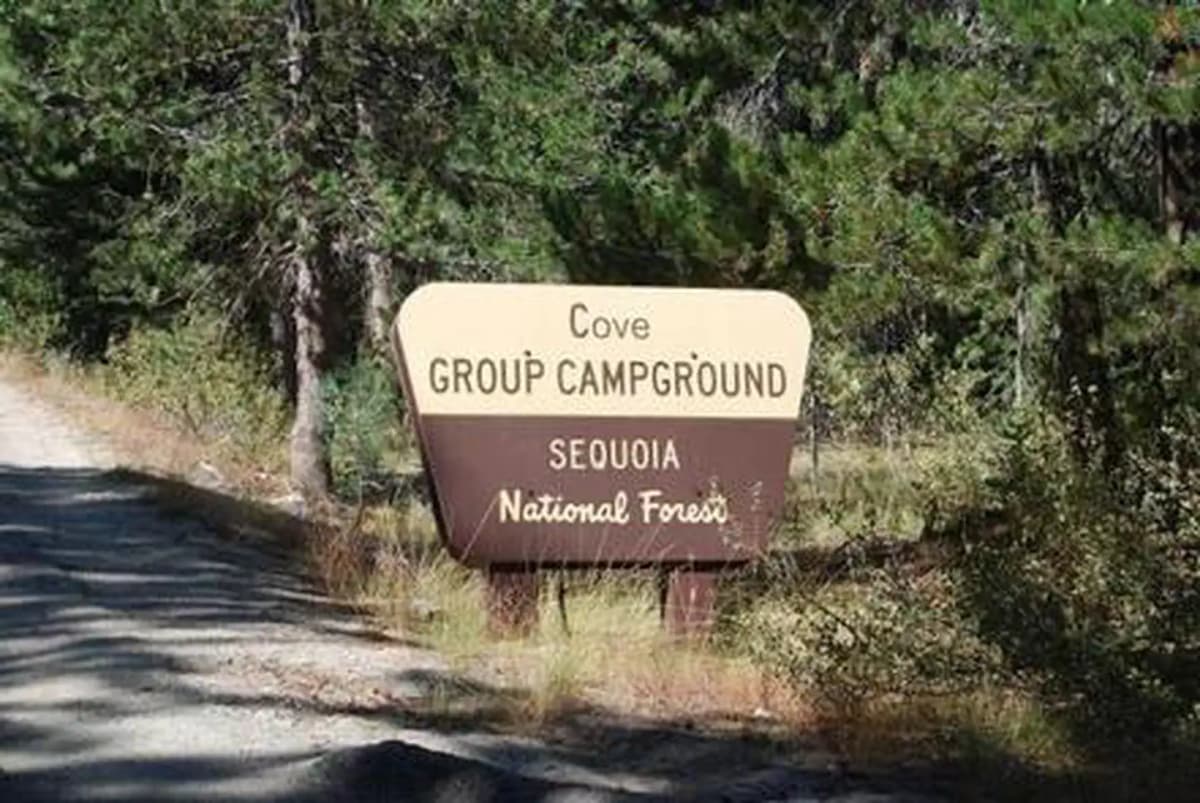 Cove Group — photo 1