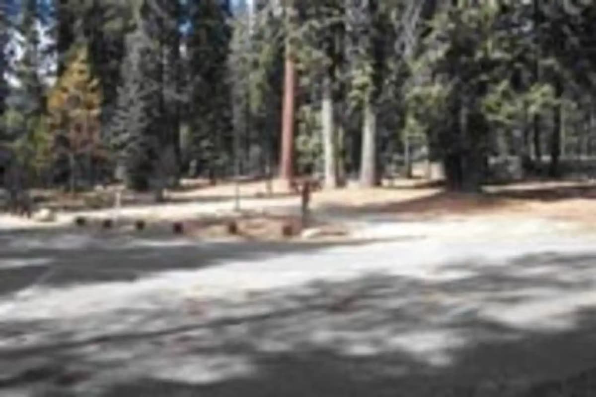 Stony Creek Sequoia — photo 1
