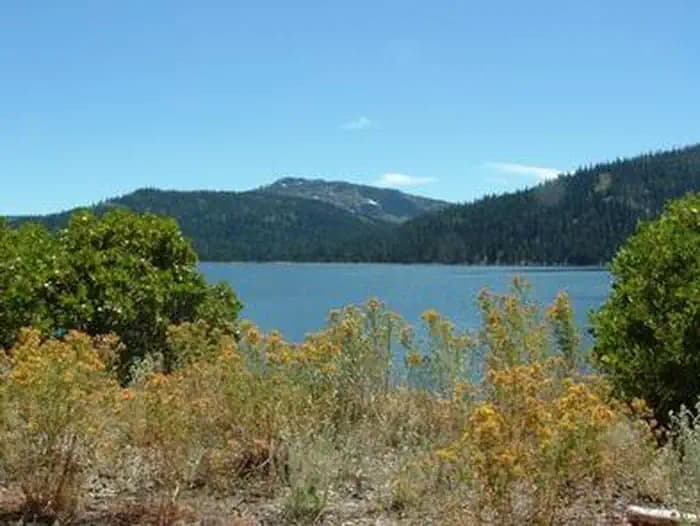 Findley Campground — photo 1