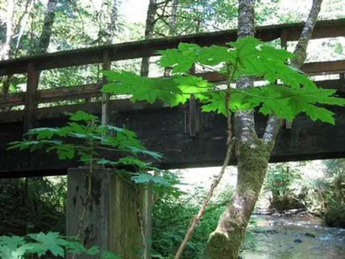 Camp Creek — photo 1