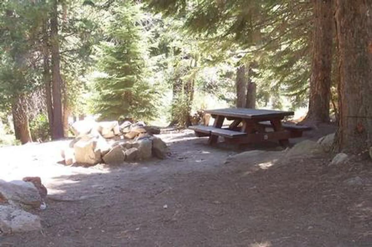 Redwood Meadow — photo 1
