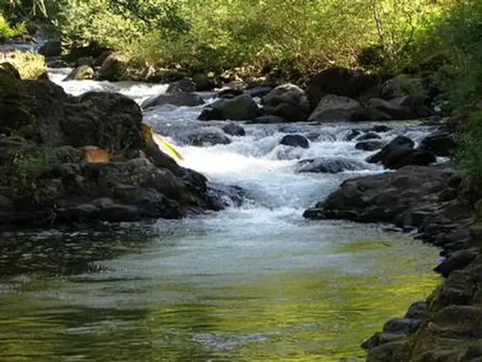Roaring River — photo 1
