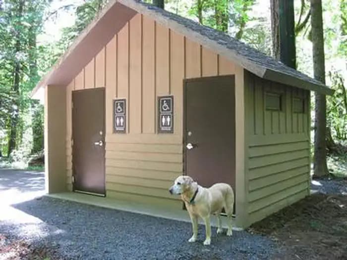 Paradise Creek Campground — photo 1
