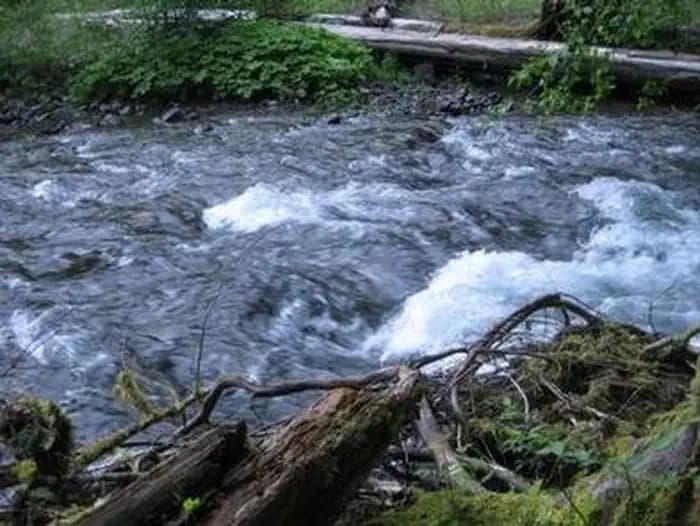 Beaver Campground — photo 1