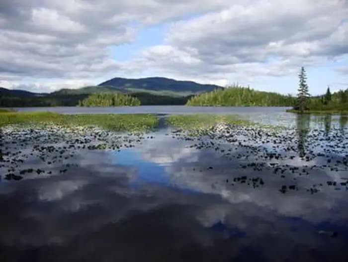 Hasselborg Creek Cabin — photo 1