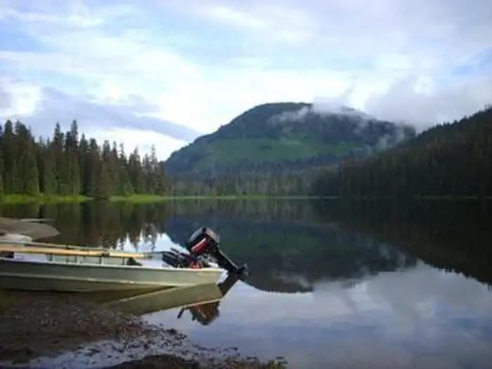 Young Lake (South) Cabin — photo 1