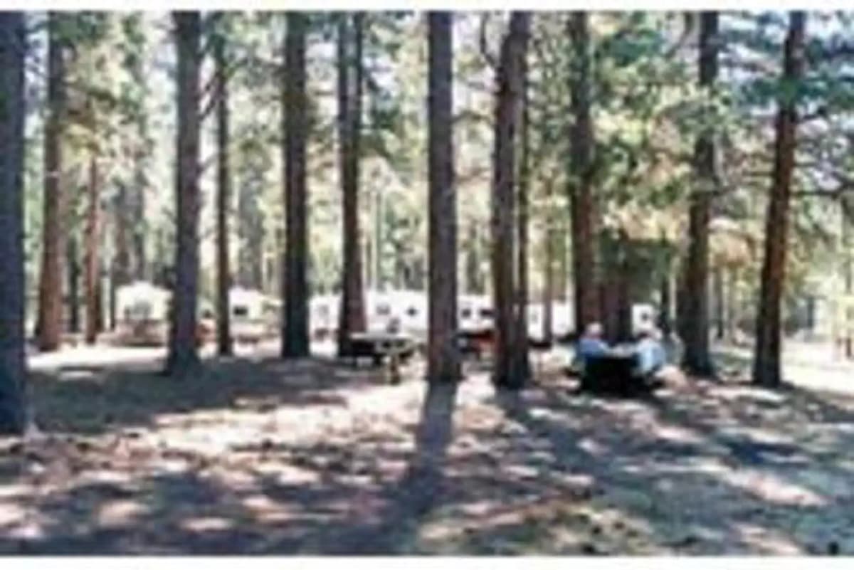 West Eagle Campground — photo 1