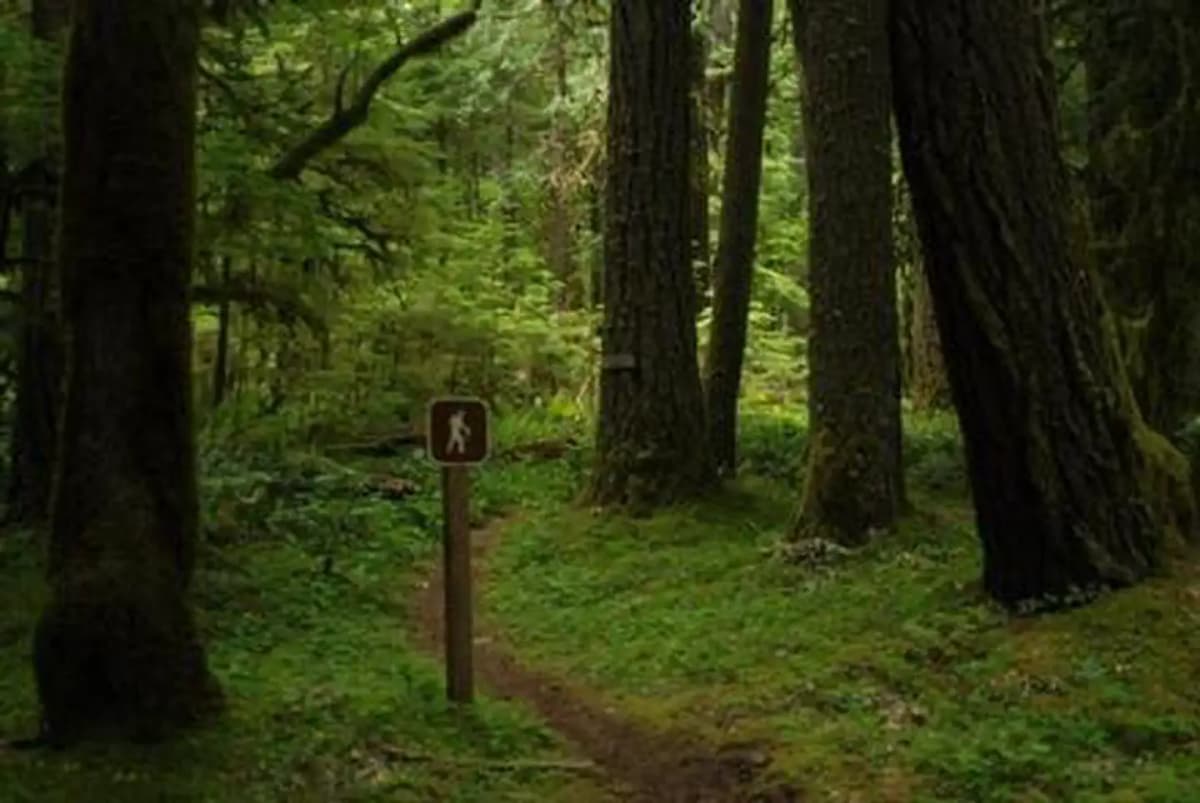 North Fork Bear Group Camp — photo 1